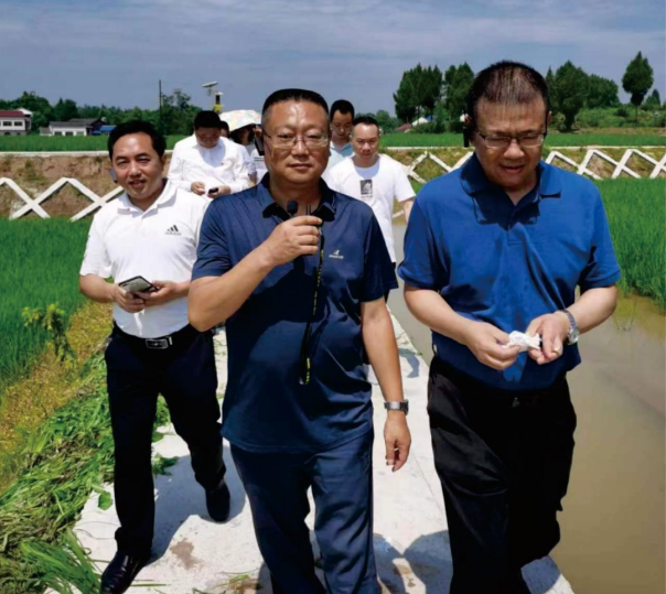 微信图片_2025-06-03_174152_437.png